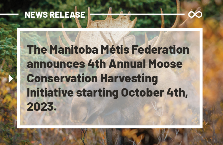 The Manitoba Métis Federation Announces 4th Annual Moose Conservation ...